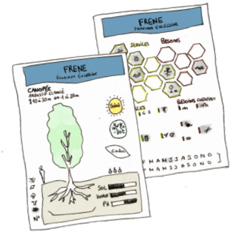 exemple de fiche plante papier
